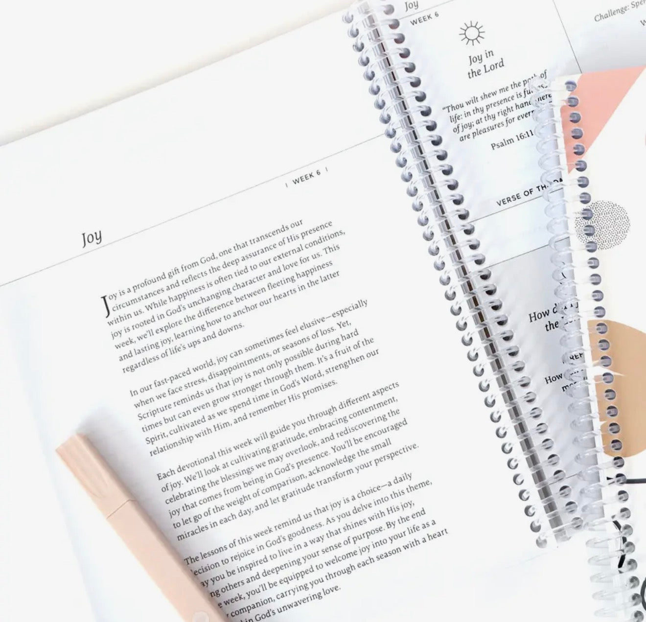 Anchored in His Word – 90 Day Christian Devotional Journal