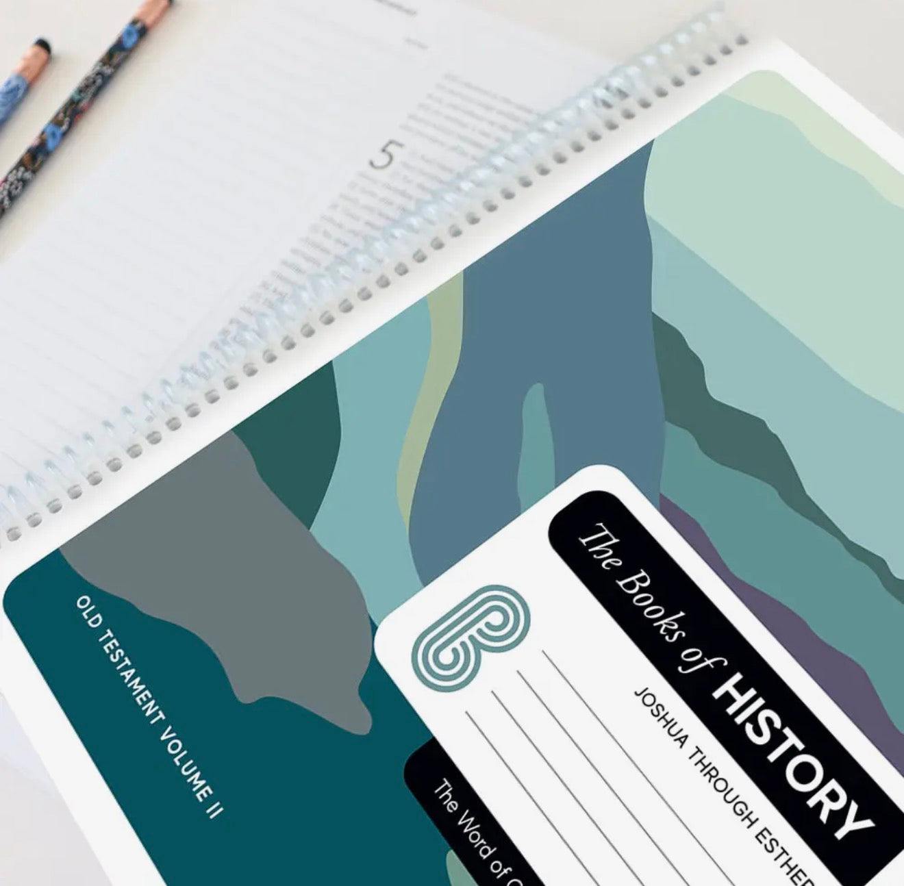 NLT Spiral Bible – Books of History (Joshua Through Esther) | Note-Taking Bible