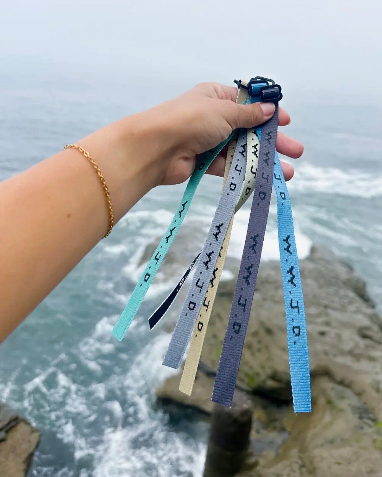 WWJD Surf Bracelet Pack